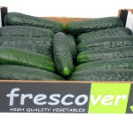 caja pepinos frescover