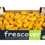 Naga Jolokia amarillo caja