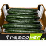 Pepino Almería