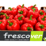 california rojo frescover
